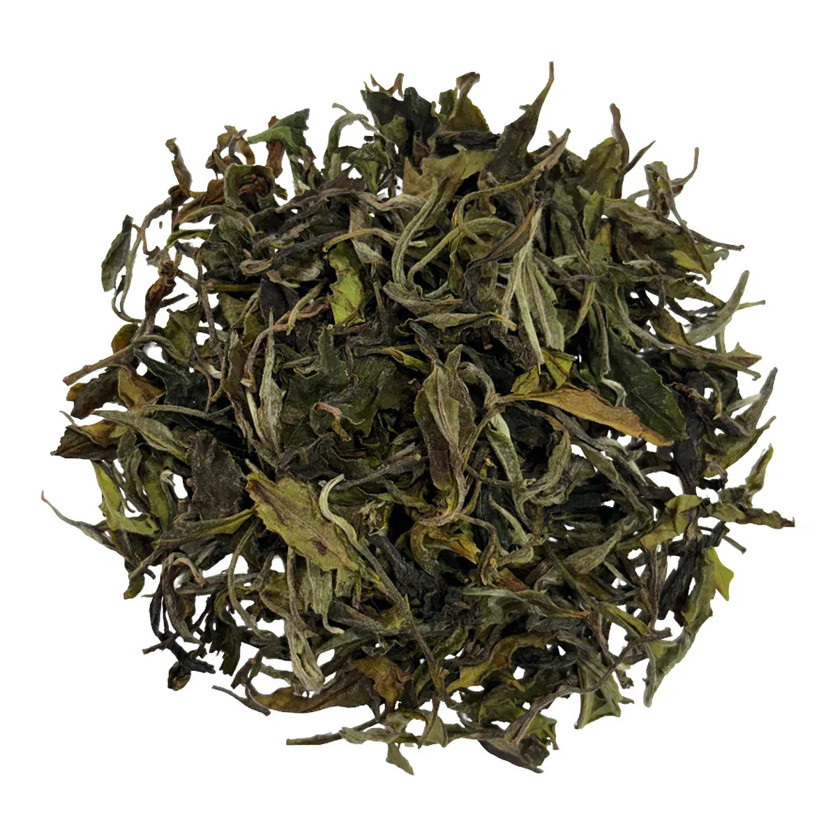 Organic White, dry leaves