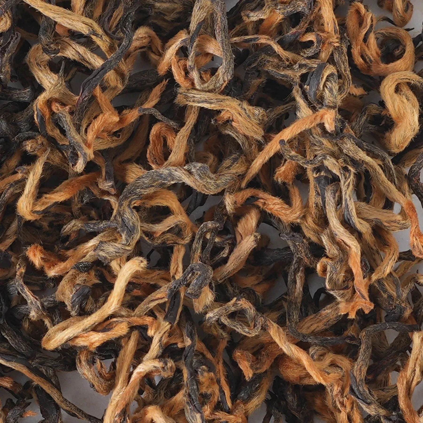 Golden Tips, dry leaves