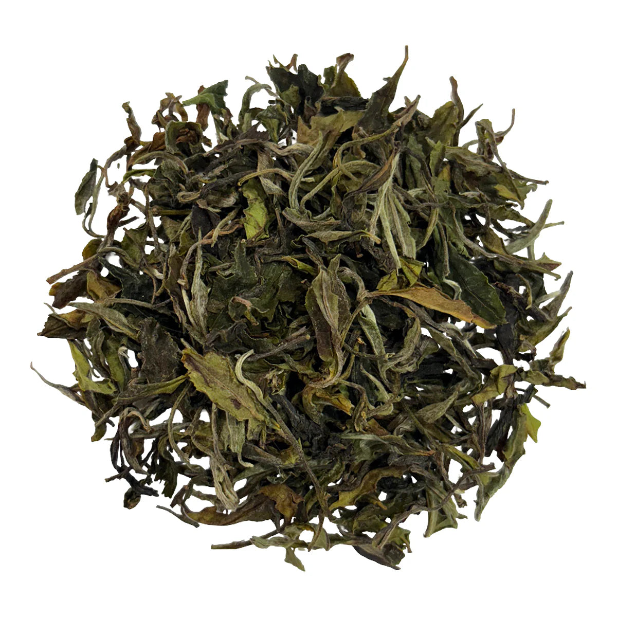 Risheehat Estate / Organic White / First Flush 2025